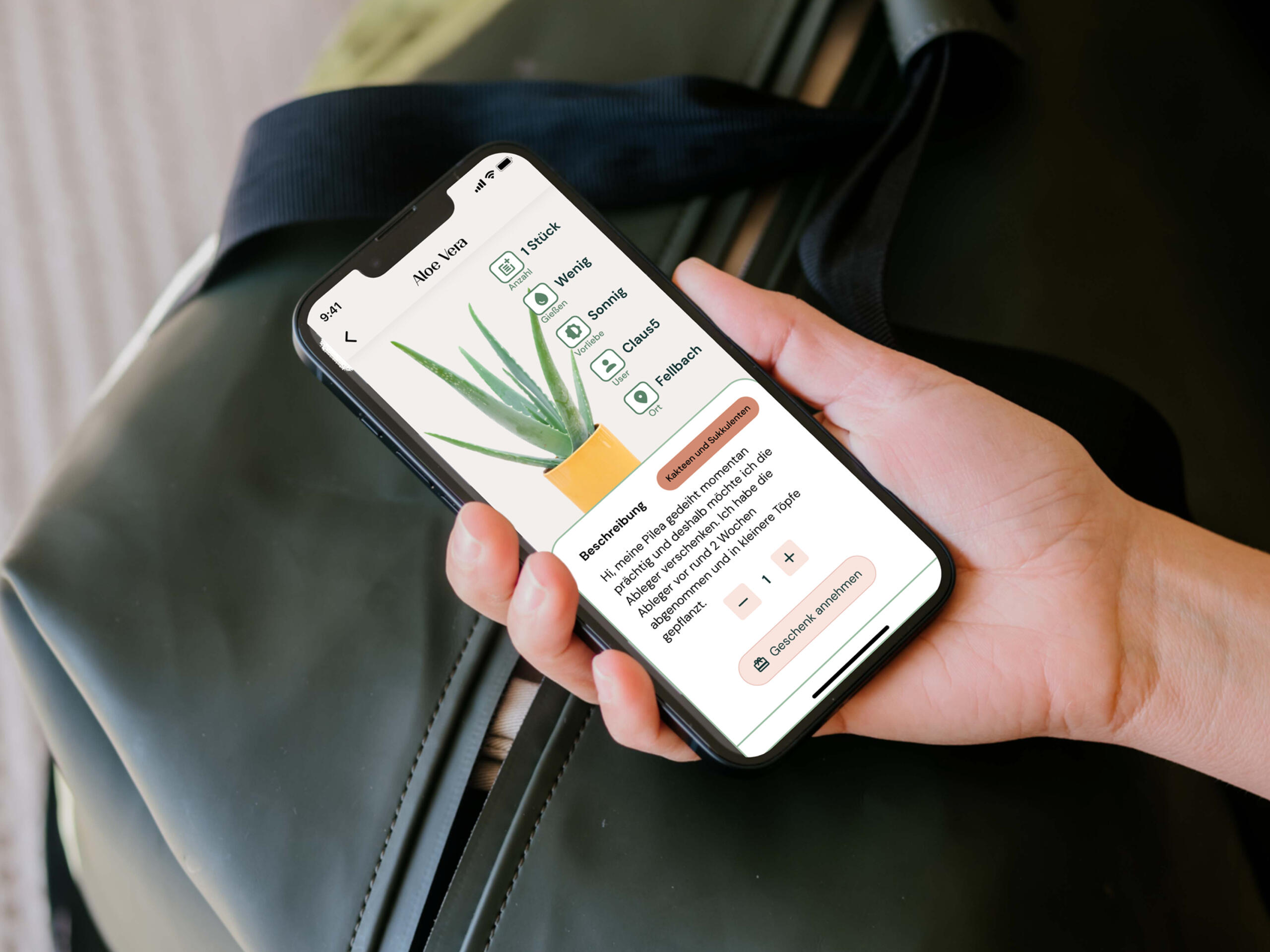 Pflanzen Kischde - concept